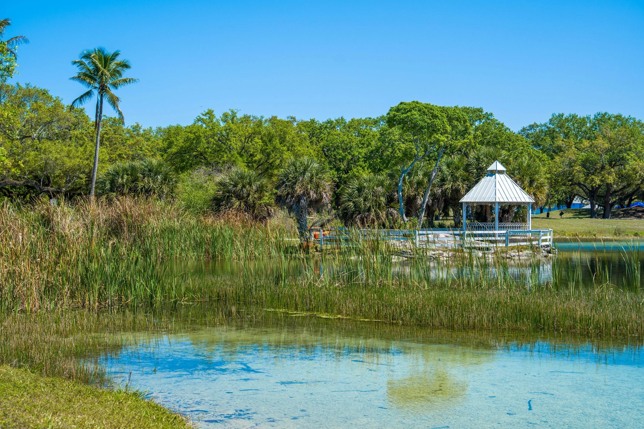 Florida community pavilion beside a lake with palm trees